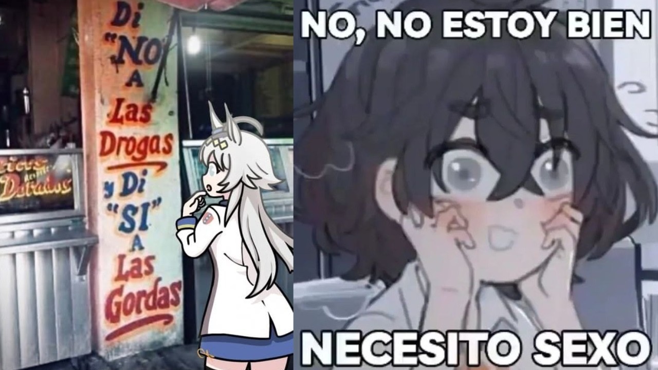 VIDEOS RANDOM ///MEMES RECOPILACIÓN ///SHITPOST ///XD