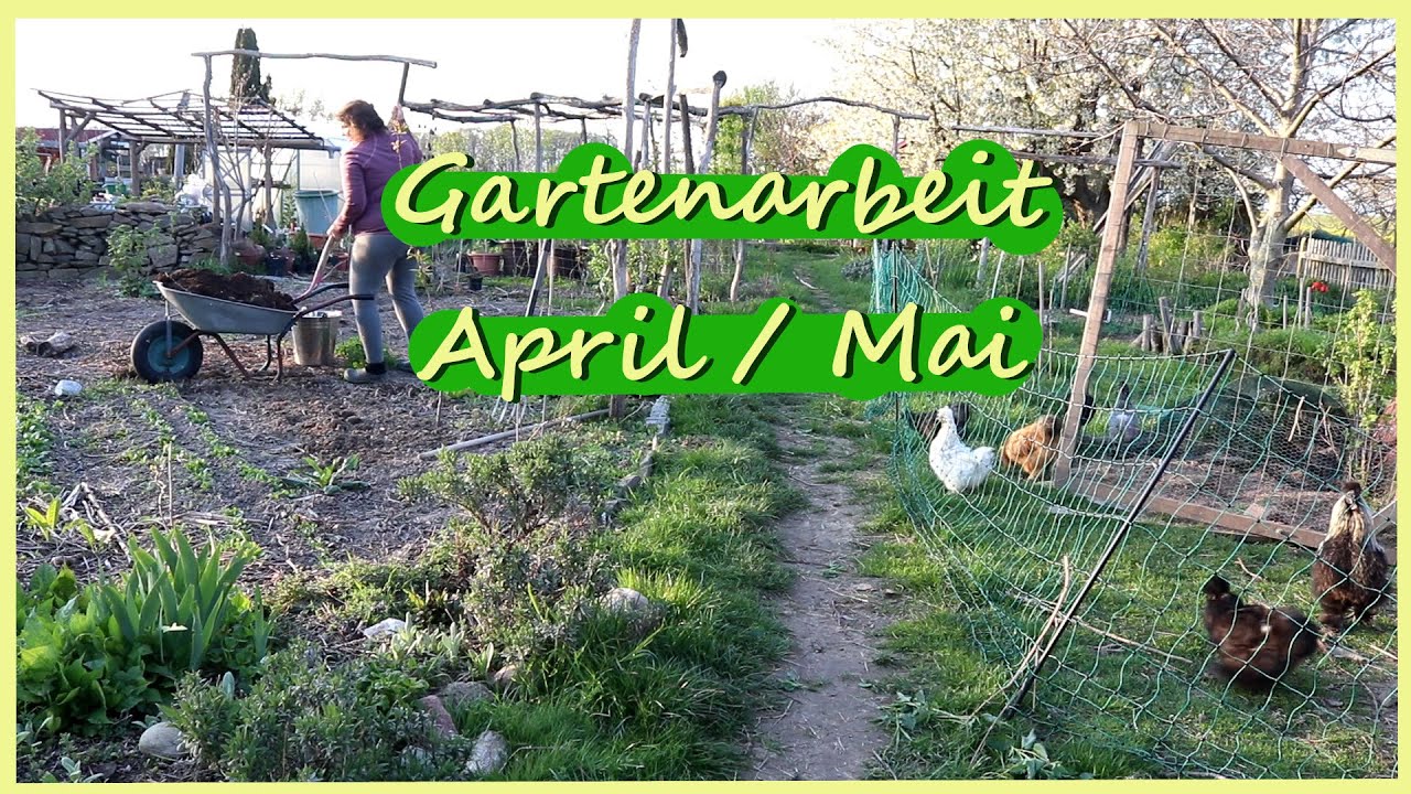 Gartenarbeit April - Mai - Glucken Hühner Küken
