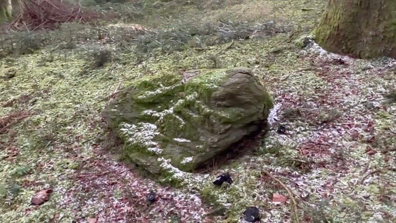 Kraftort-Wandern.com unterwegs im Winiker Wald