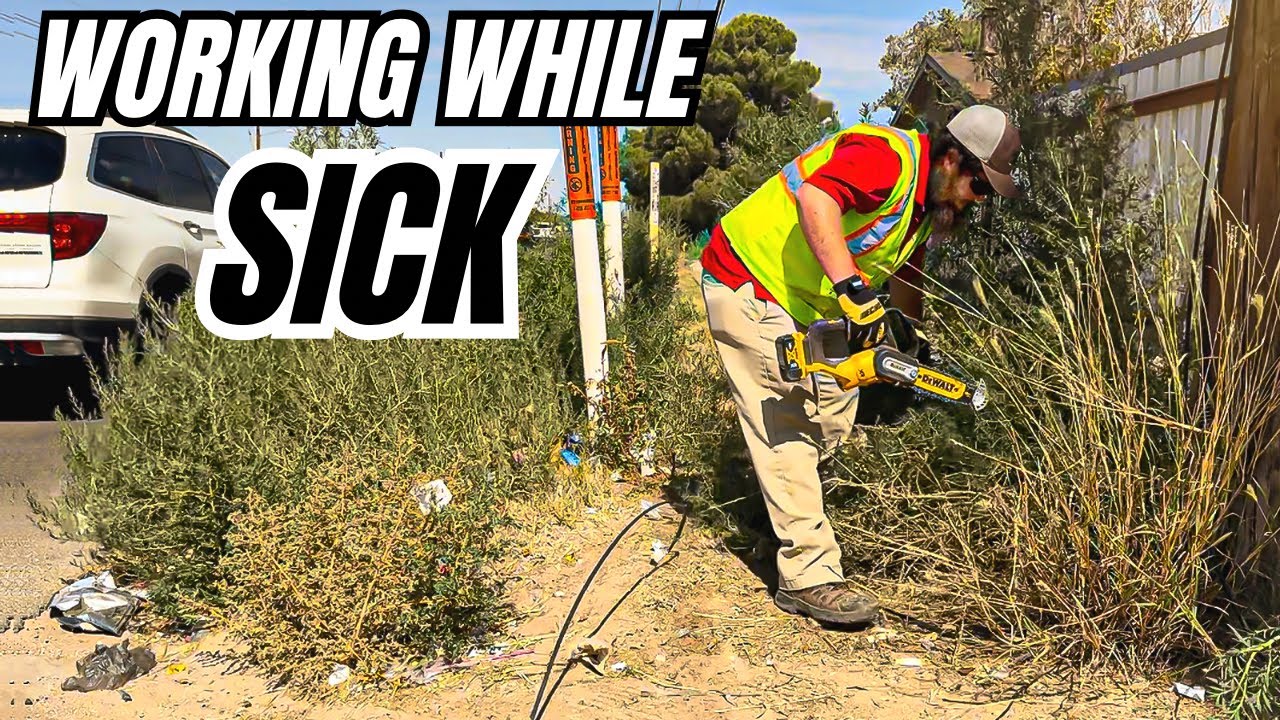 What I FOUND cleaning this UNSAFE sidewalk FORCED me to CALL the CITY