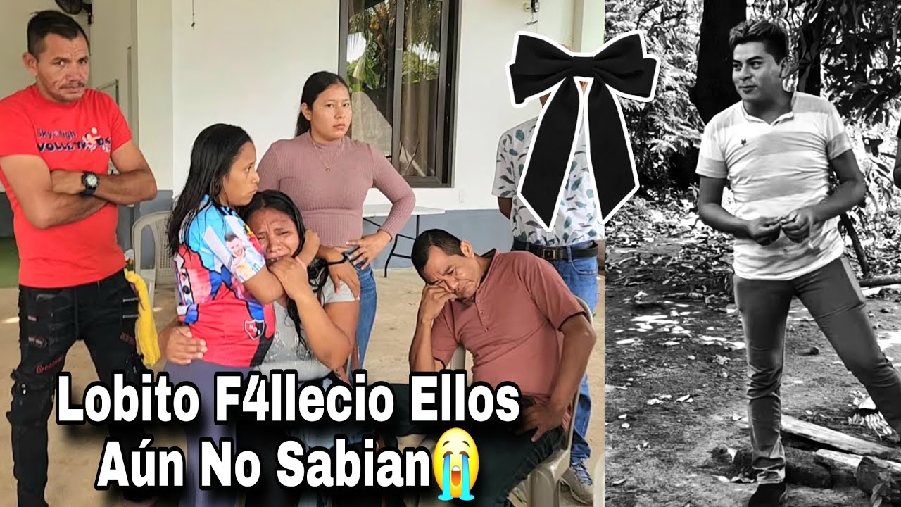 EL resto del Grupo De Lobito Aún No Sabia Que Acababa De Mor1r Lobo|Esta Fue Su Reacción😭