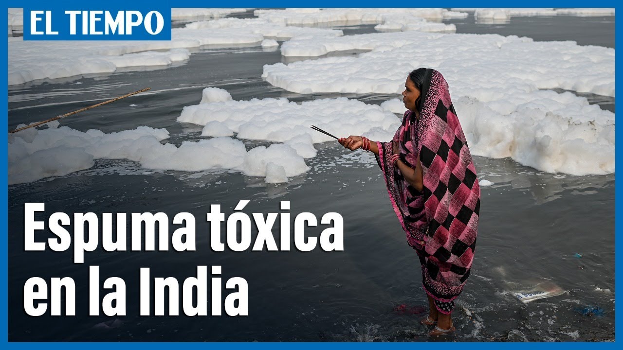 Espuma t&oacute;xica cubre el r&iacute;o sagrado Yamuna de la India | El Tiempo