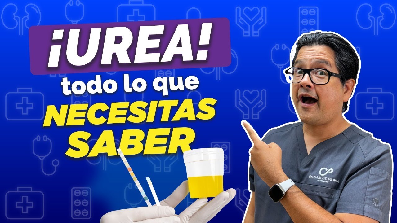 ¡UREA! Todo lo que necesitas saber