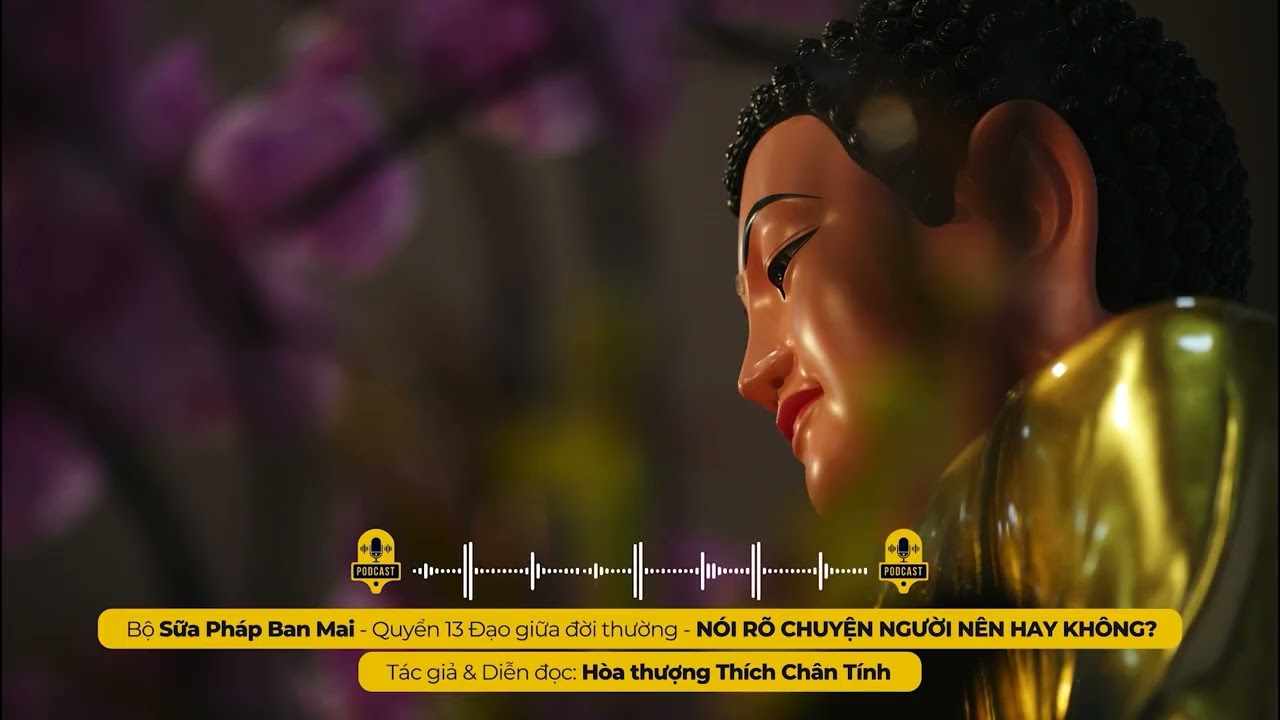 Podcast 90 I NÓI RÕ CHUYỆN NGƯỜI NÊN HAY KHÔNG? I Tác giả & Diễn đọc - Hòa thượng THÍCH CHÂN TÍNH