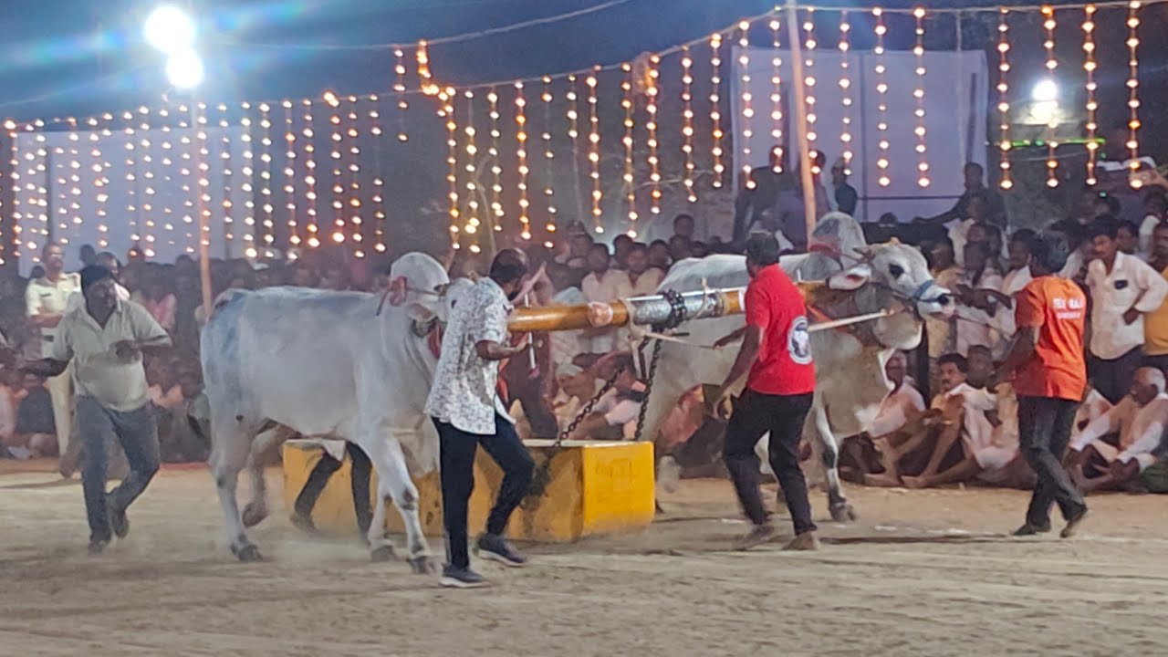 ఆకుల గణపవరం సీనియర్స్ 7వ కసాన్నేని. రాజాచౌదరి గారు + వల్లభనేనిమోహన్ రావు గారు (ఉగ్రతేజ 💥 JR అభయాంత్)