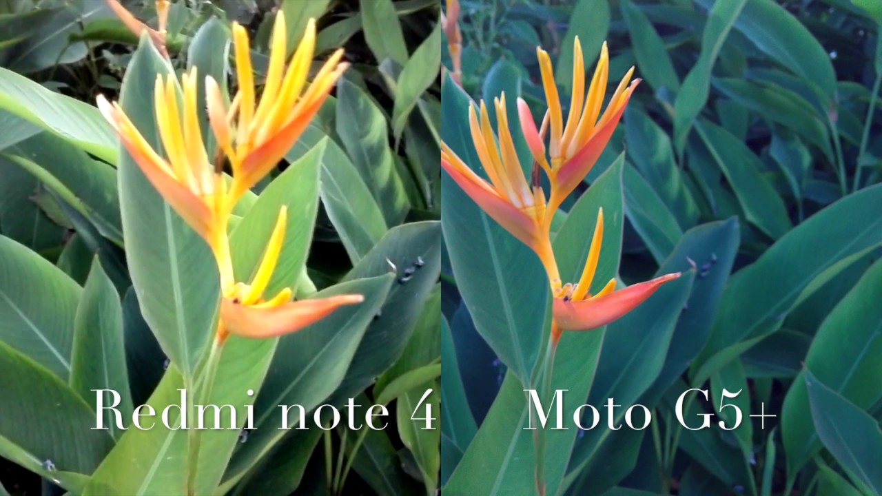 MOTO G5 PLUS vs XIAOMI REDMI NOTE 4 CAMERA TEST