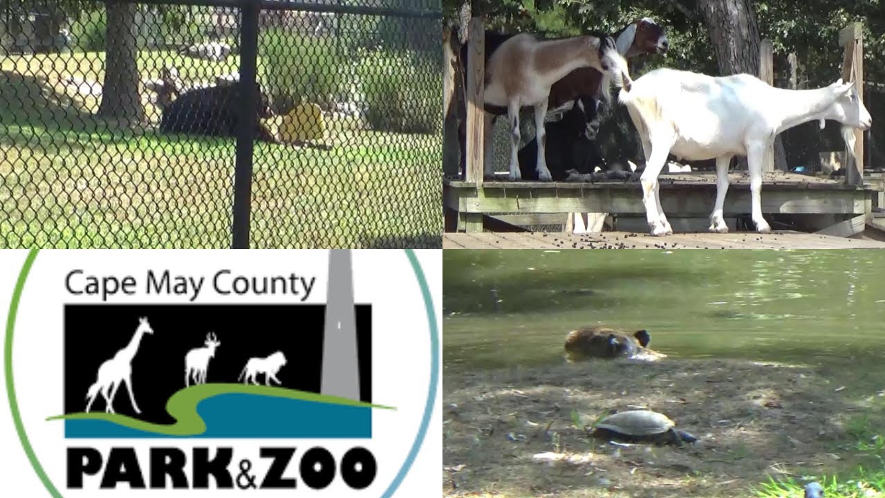 Cape May County Zoo | Cape May Sept 2023