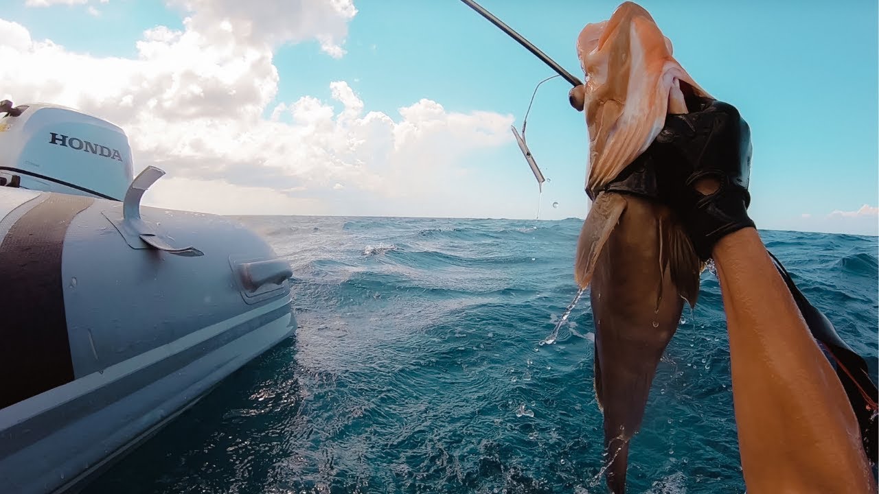 BOAT LIFE: Hunting For Lunch