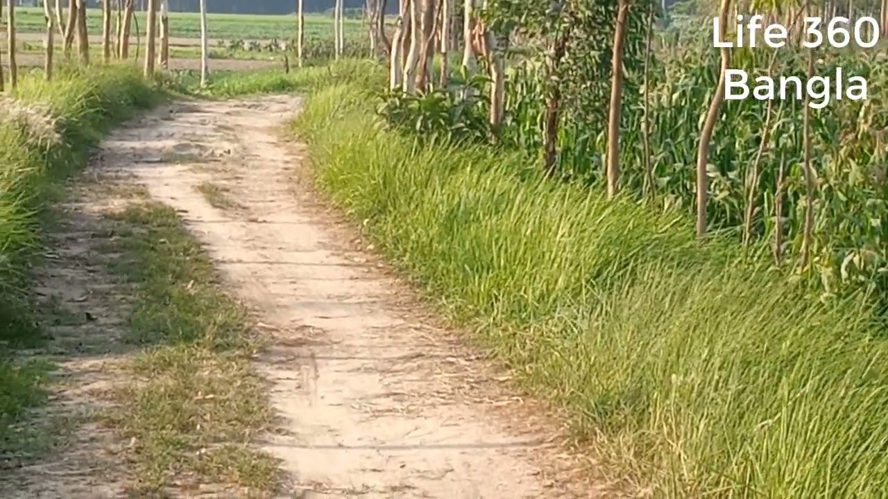 ঢাকার পাশে 20 হাজার টাকা বিক্রি হয়ে গেছে | জমি বিক্রয় | Land Sale Dhaka | Land Sale in Dhaka