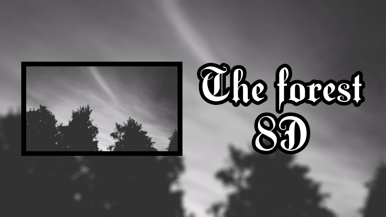 The Forest [ 8D ] | Lo FI music