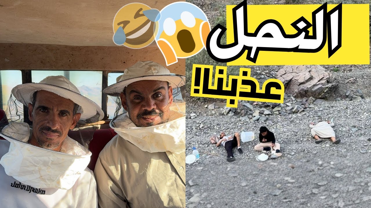 العودة لرحلات الخشب🤩🐝(اصعب خلية نحل شفناها!😱)