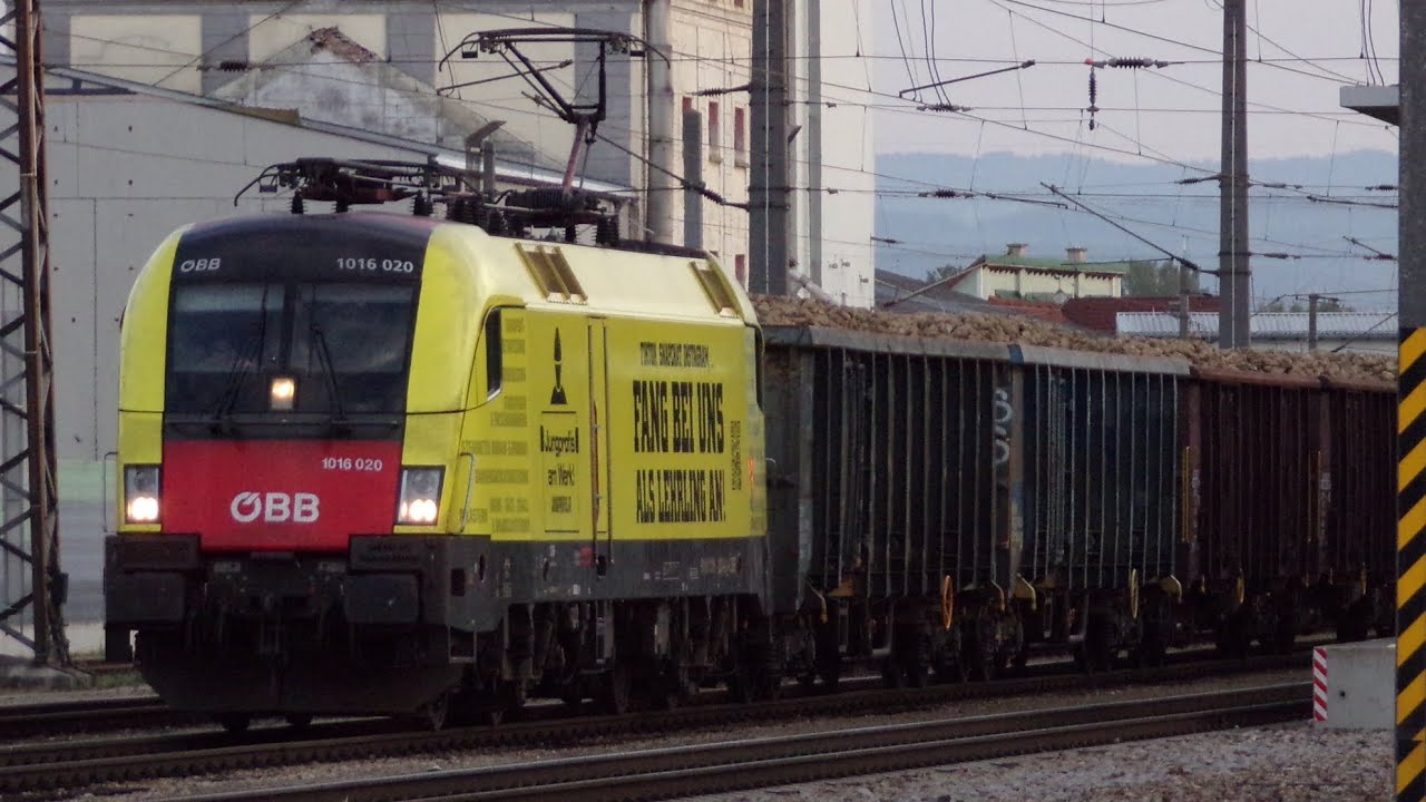 Zug Verkehr Herzogenburg am 3.9.2023 mit einer der ersten rübenzüge nach tulln