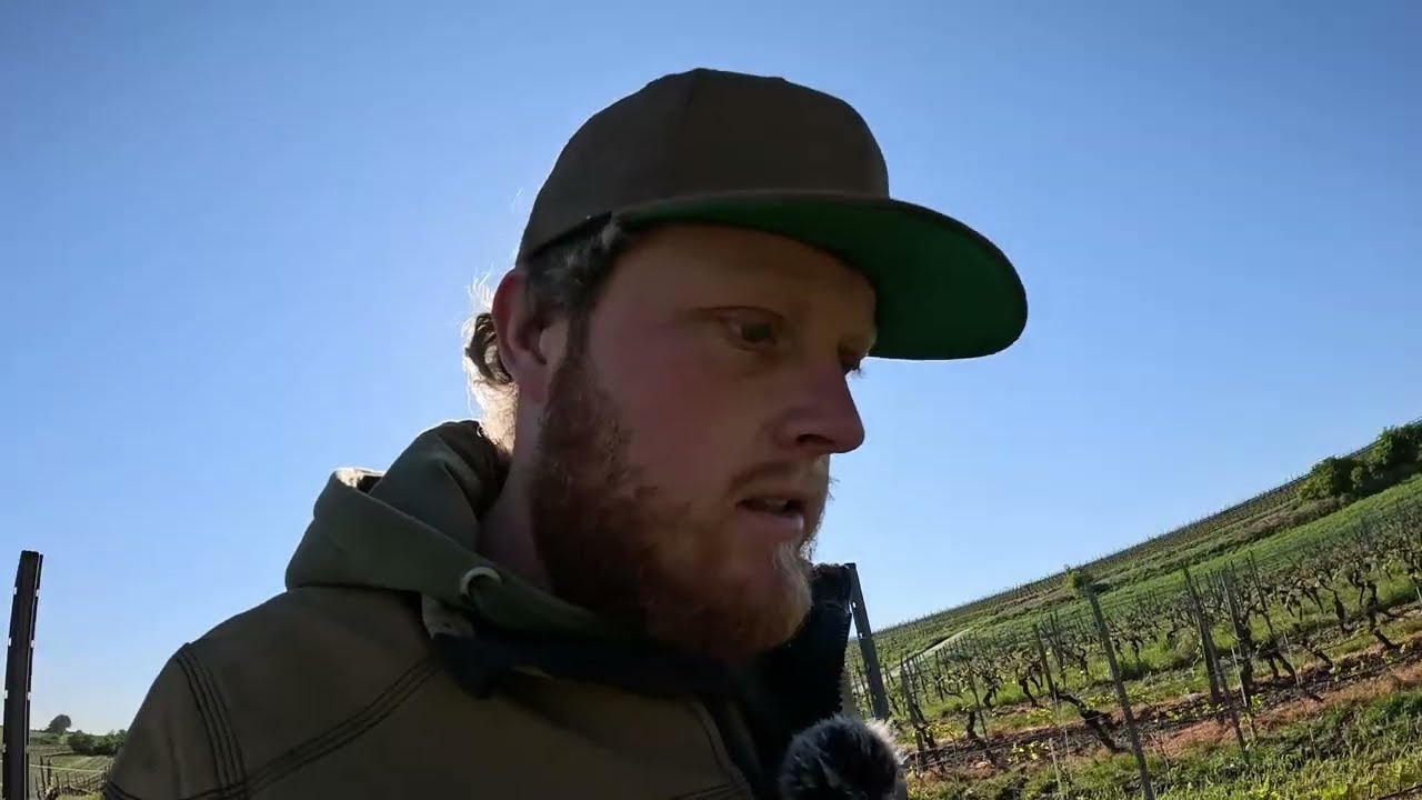 WKF #2 2024 Weinbergskontrollfahrt. Der Frost war da!