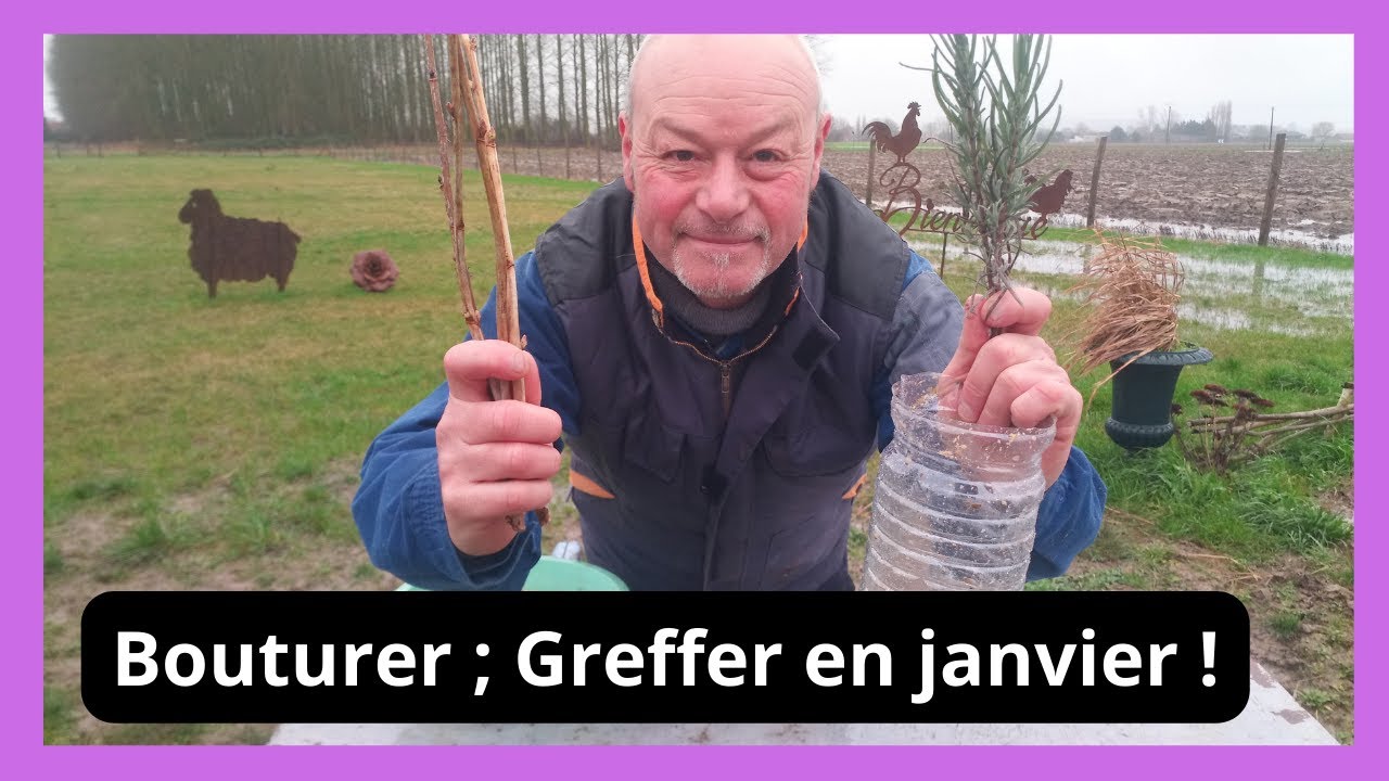 Comment bouturer ,greffer , en janvier réussissez tout ?
