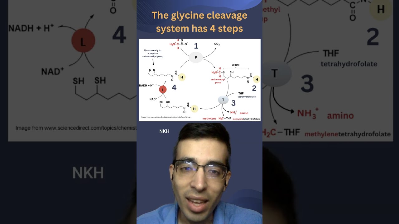Glycine cleavage system and NKH #shorts #medicalgenetics