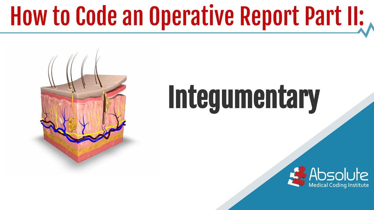 Coding an Operative Report Part II: Integumentary