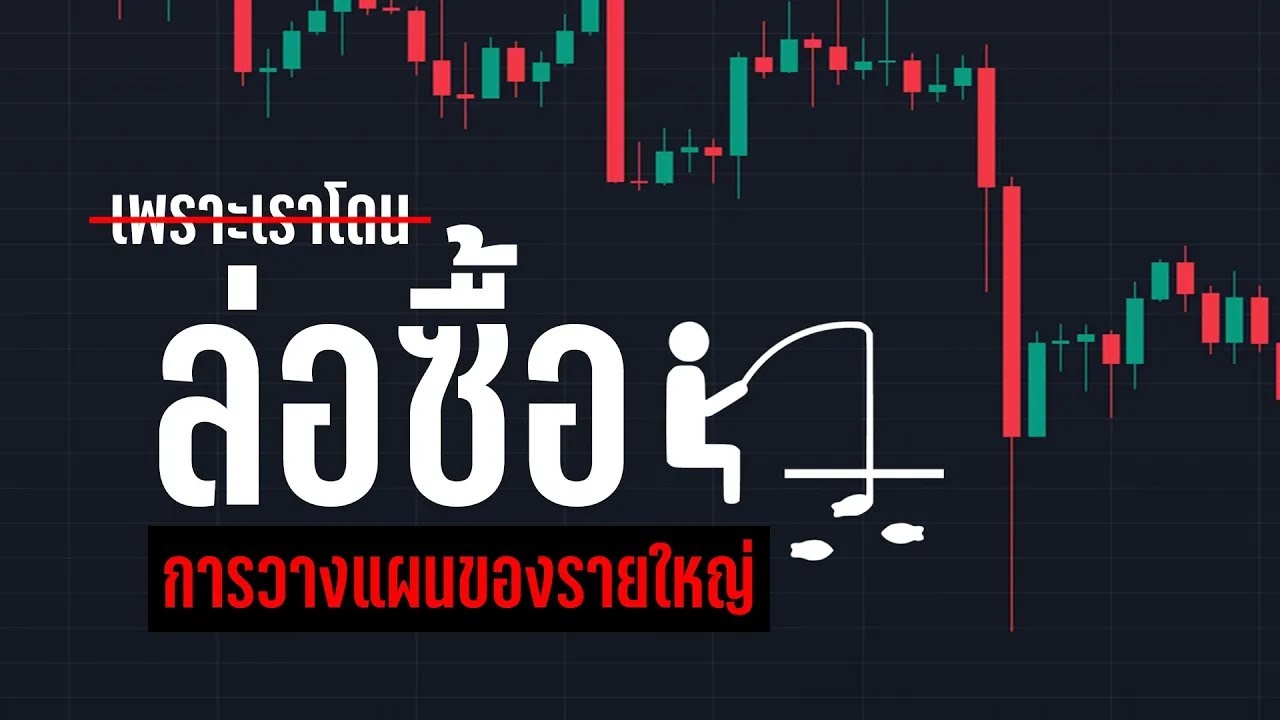 อย่าลงมือเทรดถ้ายังไม่ได้ดูคลิปนี้! 