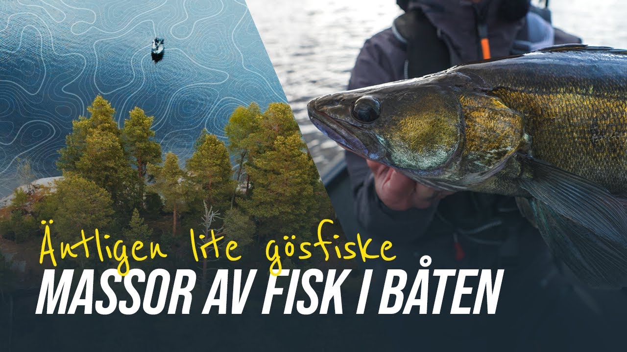 Första göspasset 2022 i ny sjö KARATEHUGGFEST!
