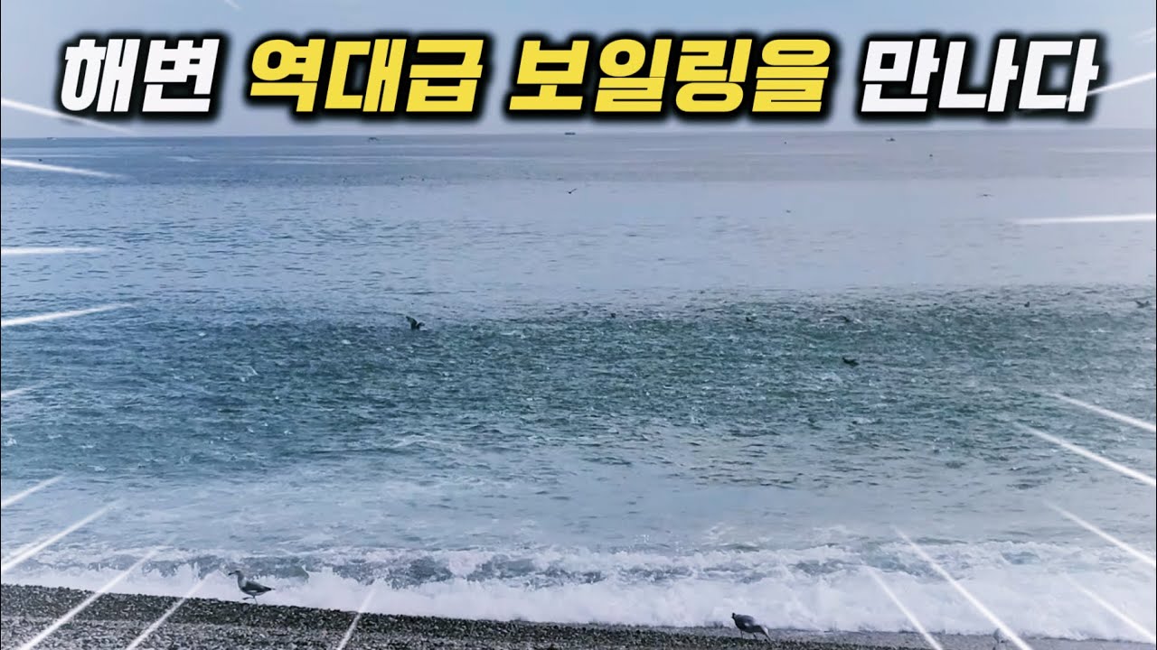 서프루어 중 역대급 보일링! 바다가 끓는다🔥