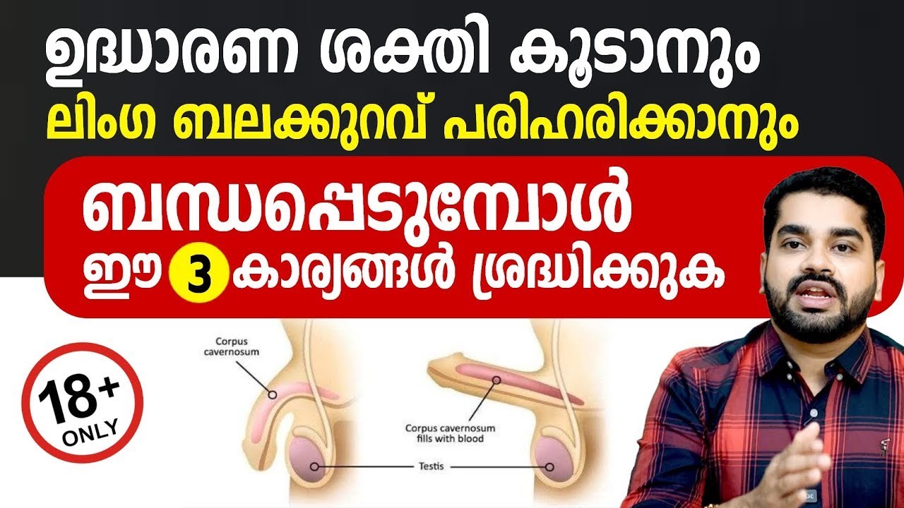 ബന്ധപ്പെടുമ്പോൾ ഈ 3 കാര്യങ്ങൾ ചെയ്താൽ ഉദ്ധാരണ ശേഷി കൂടും. ബലക്കുറവ് മാറും | Dr Bibin Jose