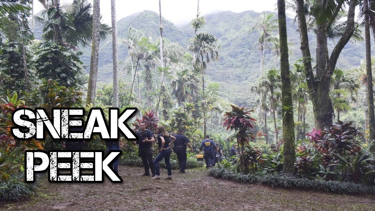 Hawaii Five-0 - Episode 8.05 - Kama' Oma 'O, Ka 'Aina Huli Hana - Sneak Peek 3