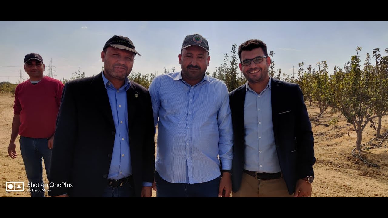 الخوخ من الاف الي الياء مع دكتور الباز كبير استشاري الفاكهه المتساقطه (الجزء كامل)