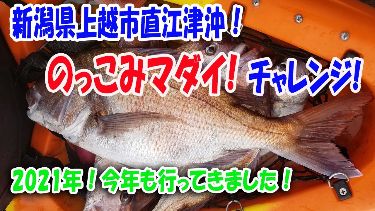 【カヤックフィッシング】2021年のっこみマダイチャレンジ！新潟県上越市直江津沖！