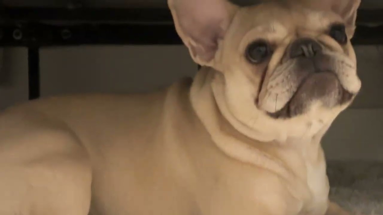 Please give me views cute Luna