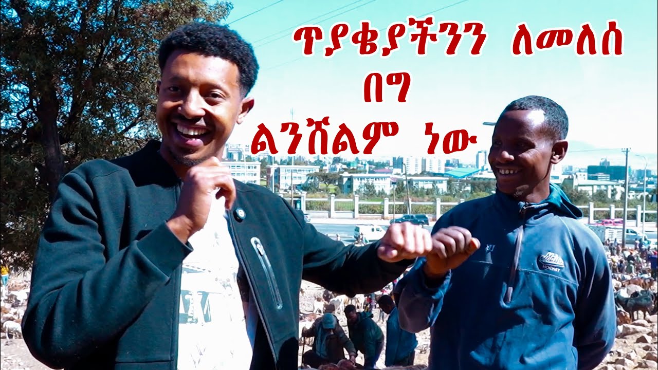 ጥያቄ እና አስቂኝ መልሶች