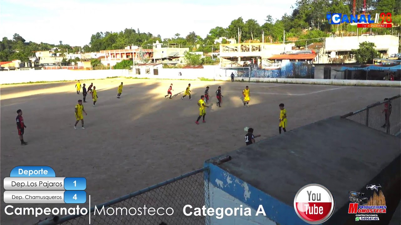 Canal 98 en vivo