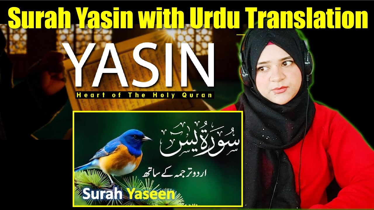Surah Yasin with Urdu Translation || Surah Yaseen Reaction || Qur'an Best Tilawat 😍