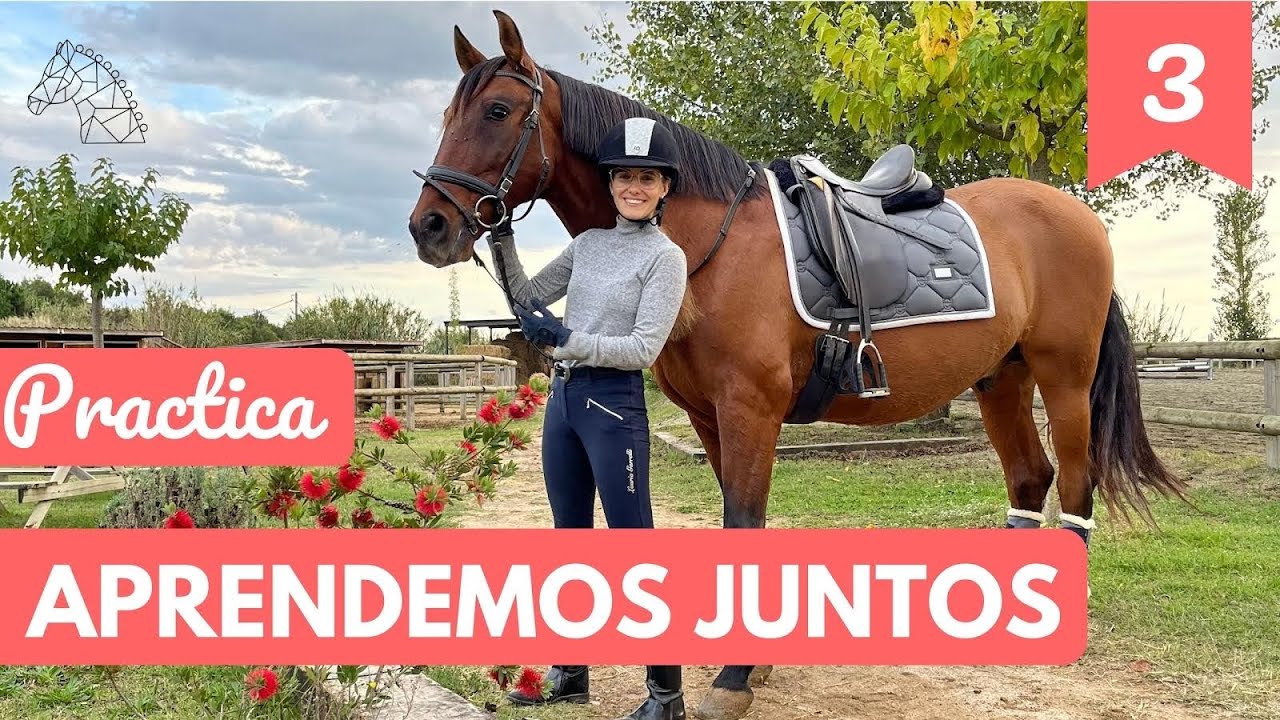 Preparar, atar, subirse/bajarse del caballo, estribos, paso y trote