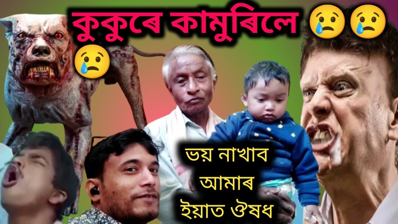 🐕🐕জ্বলাতংক ৰোগৰ পৰা বচাবলৈ এইটো video কামত আহিব 🐕🐕কুকুৰে কামুৰিলে কি কৰিব 🐈🐈 #nityaniranjanbora