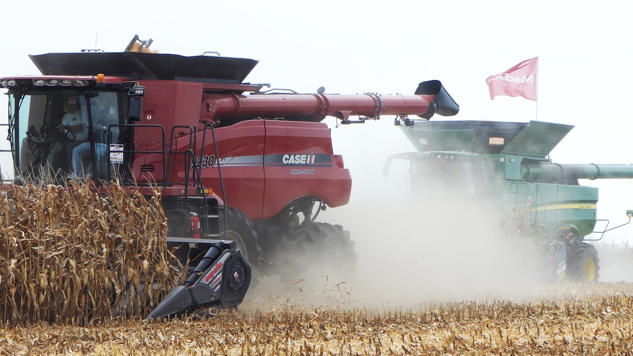 Демонстрация уборки кукурузы на выставке Farm Progress Show &mdash; все комбайны на уборке кукурузы