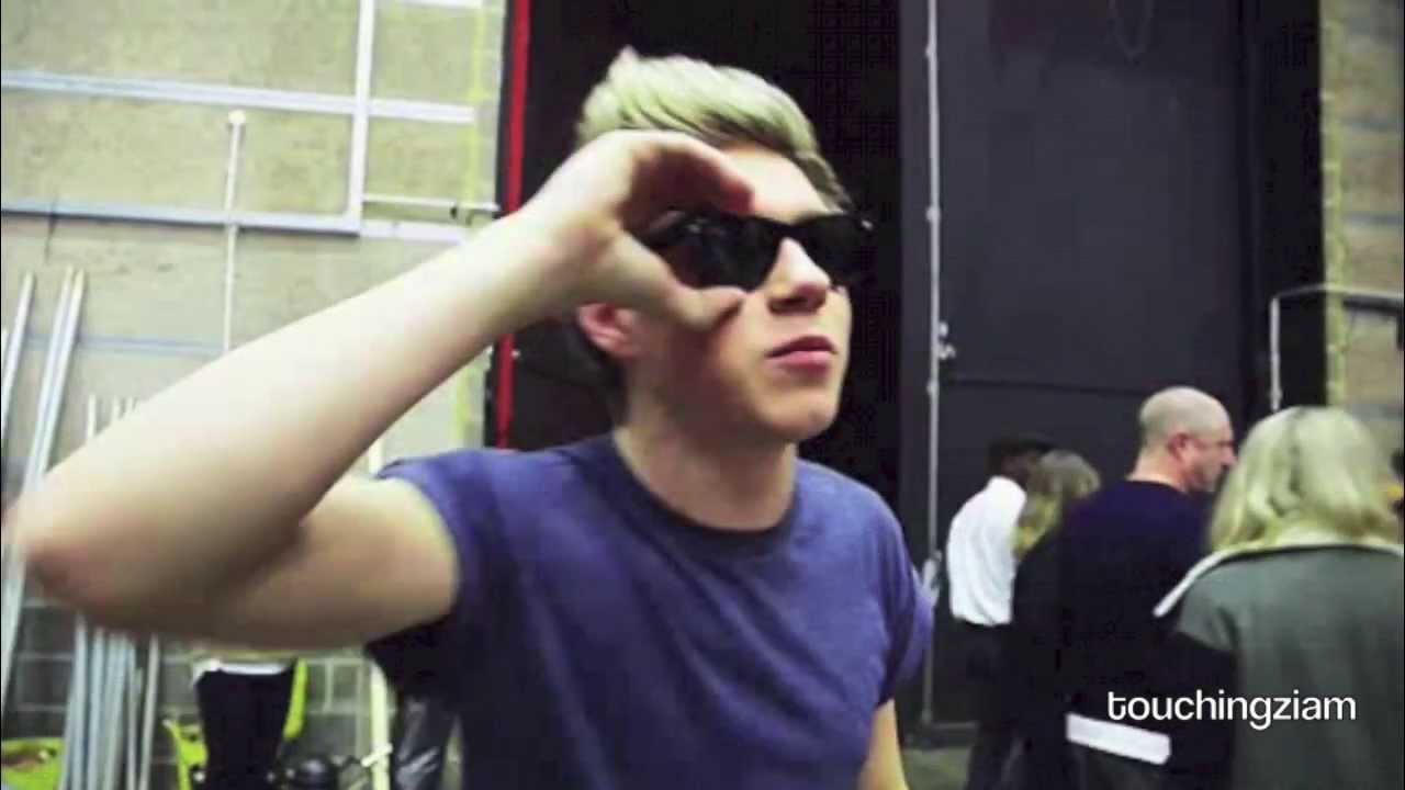 Niall Horan | I Want Crazy