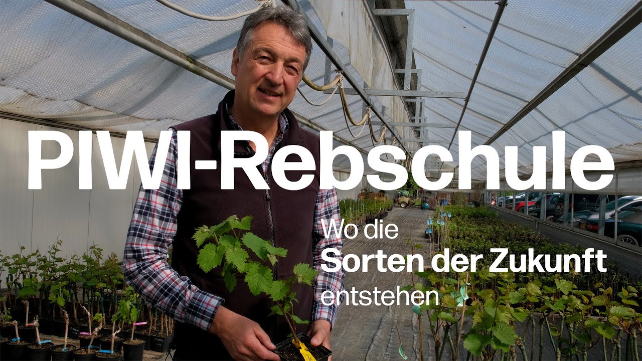Die PIWI-Rebschule Freytag: Wo die Traubensorten der Zukunft entstehen
