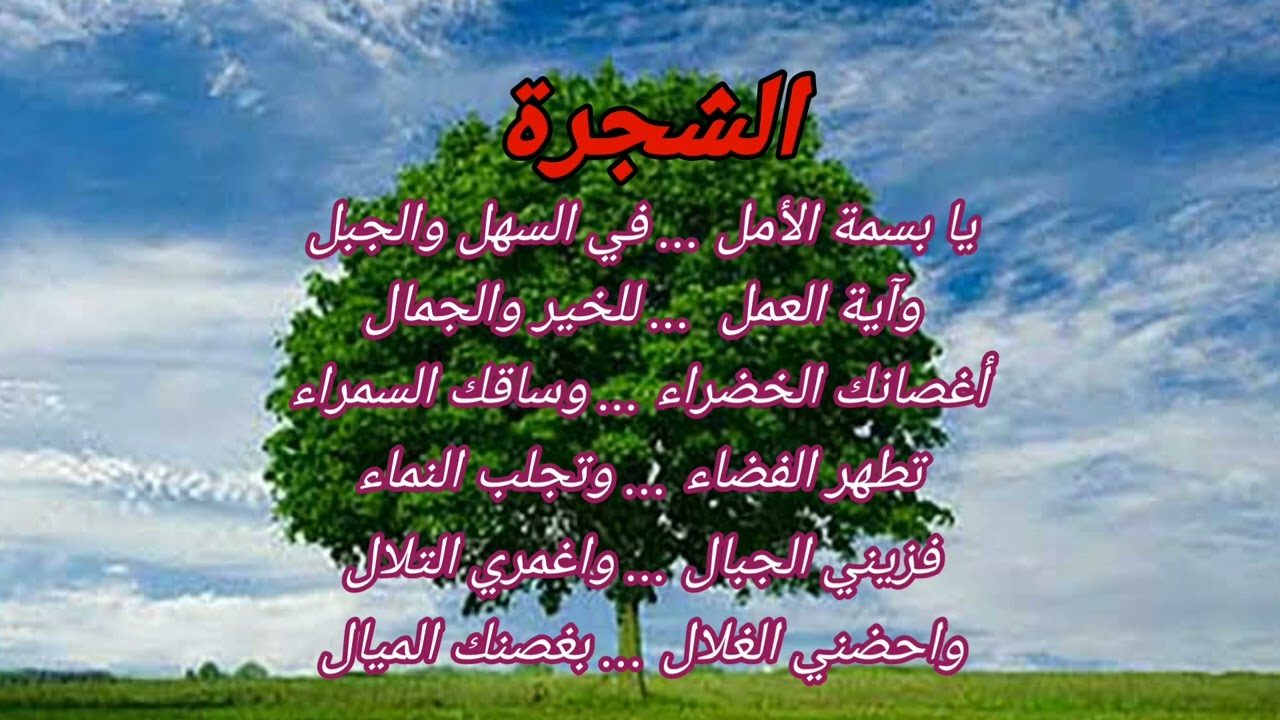 أنشودة الشجرة - السنة الرابعة ابتدائي #المعلم_فريد #farid_messali
