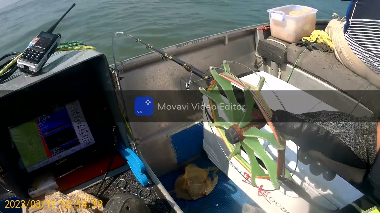 船釣白三牙