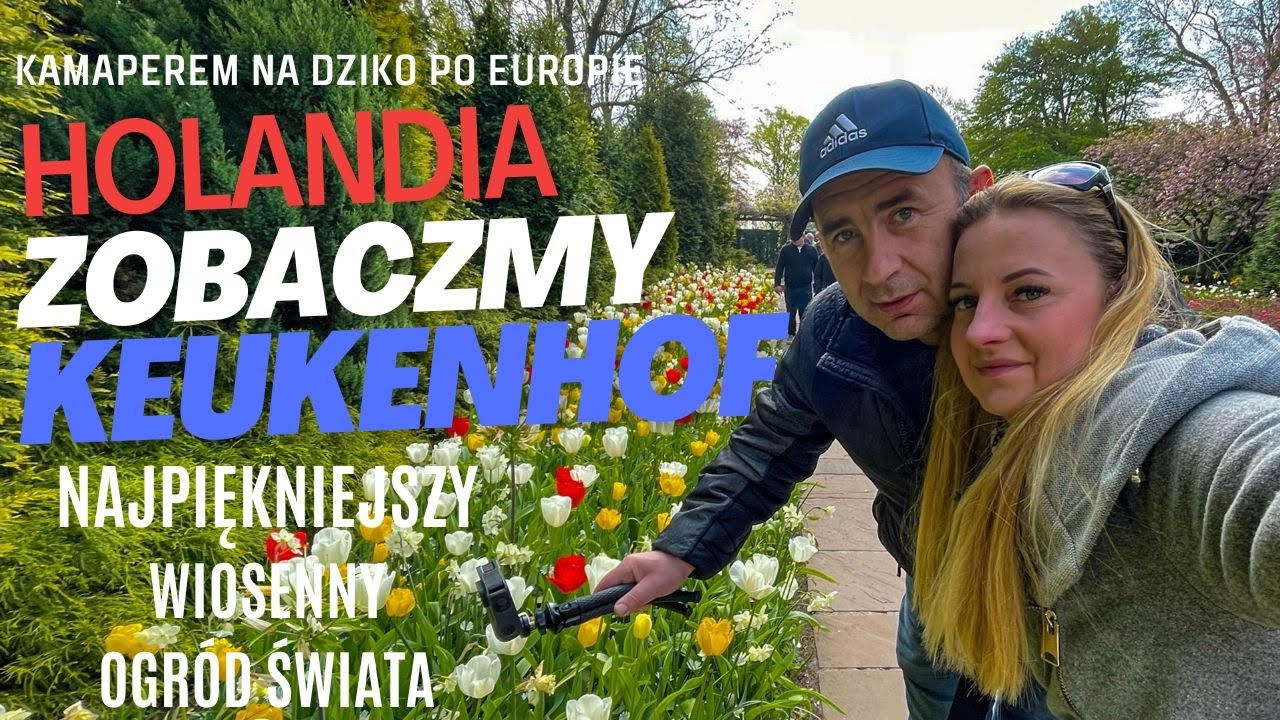 W Morzu Kwiatów, Zobaczmy Keukenhof, Kamperem Na Dziko po Europie, Podróże Po Europie, Vanlife