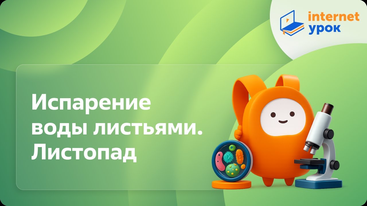 Биология 6 класс. Испарение воды листьями. Листопад