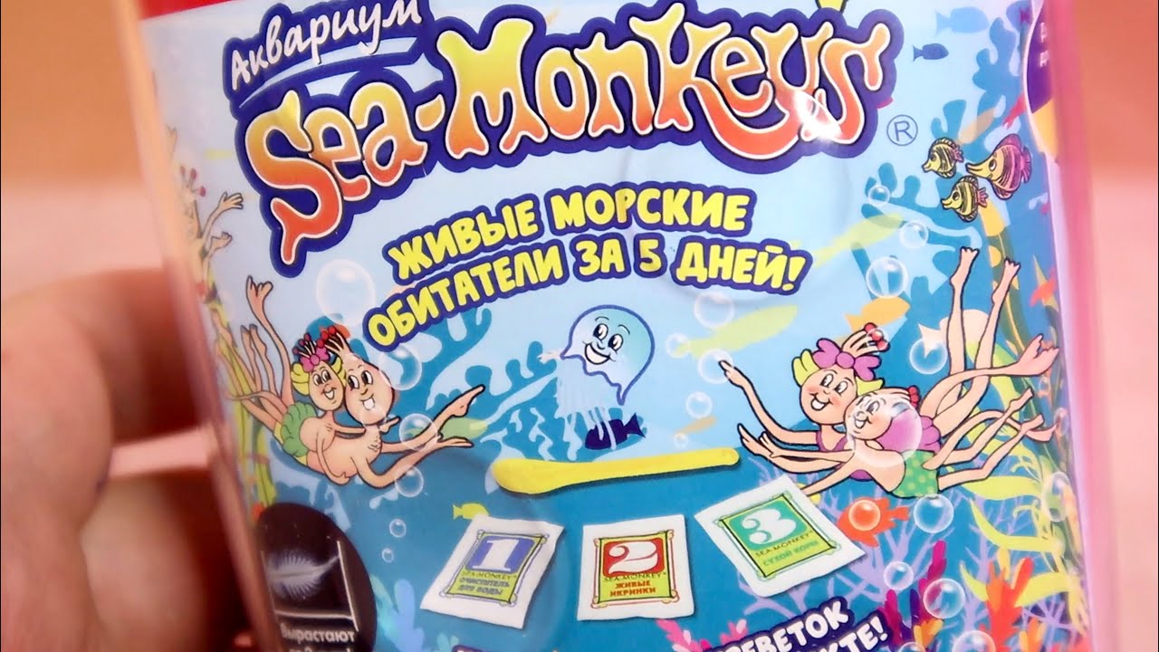 Морские Обезьянки Живые Существа из икринок Sea Monkeys - Артемии