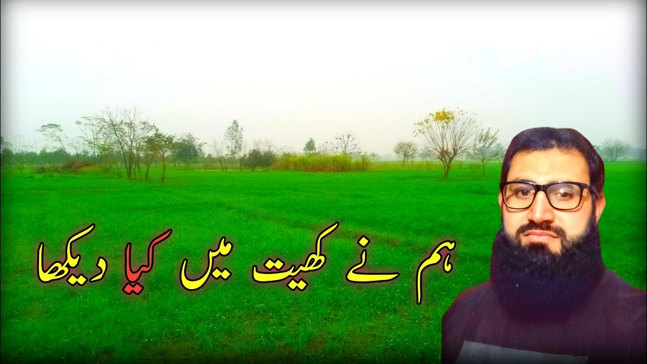 Village Environment | گاؤں کا ماحول | Peaceful Village Life & Nature Vlog