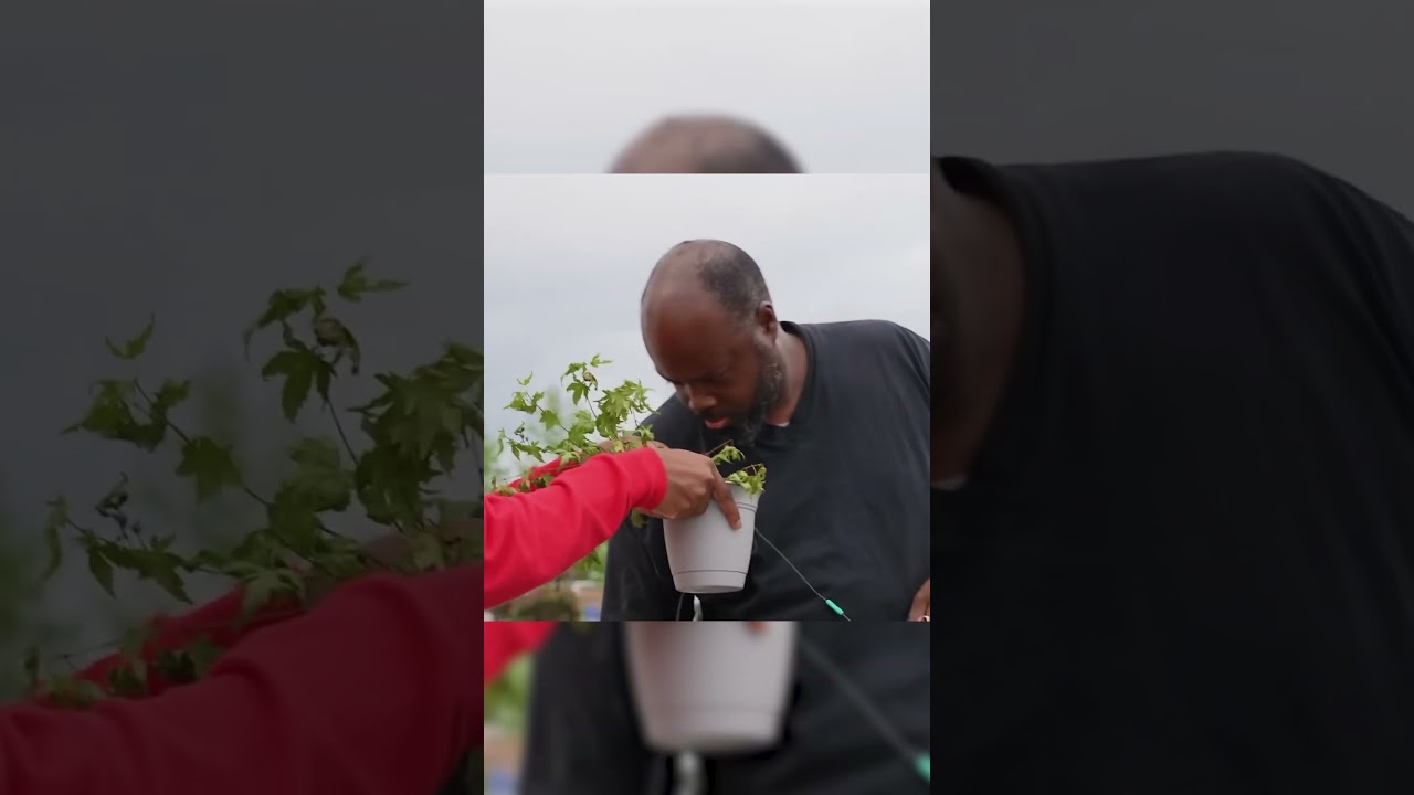 Kanel Joseph Walmart Weed Prank!! 🍃