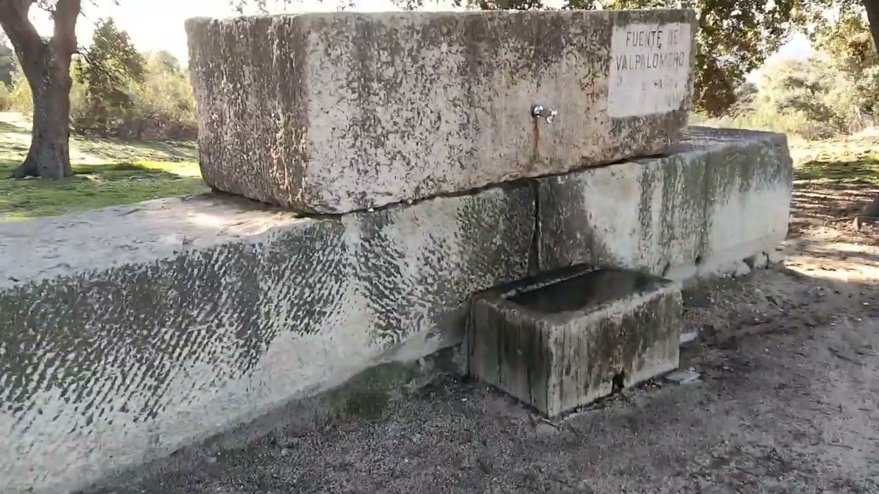 Monte del Pardo,senda Peñarubia 31-1-26