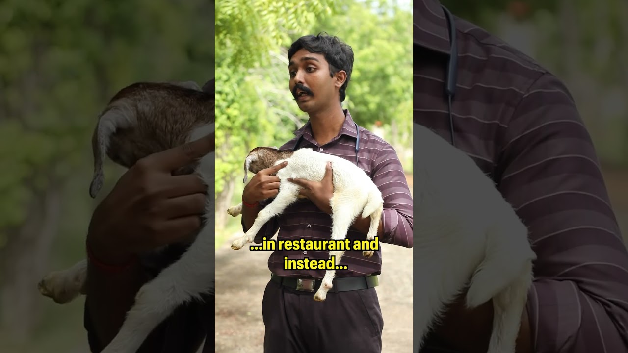 Eating meat is natural!! #meat #animals #natural #nature #mutton #goat #truth #viral