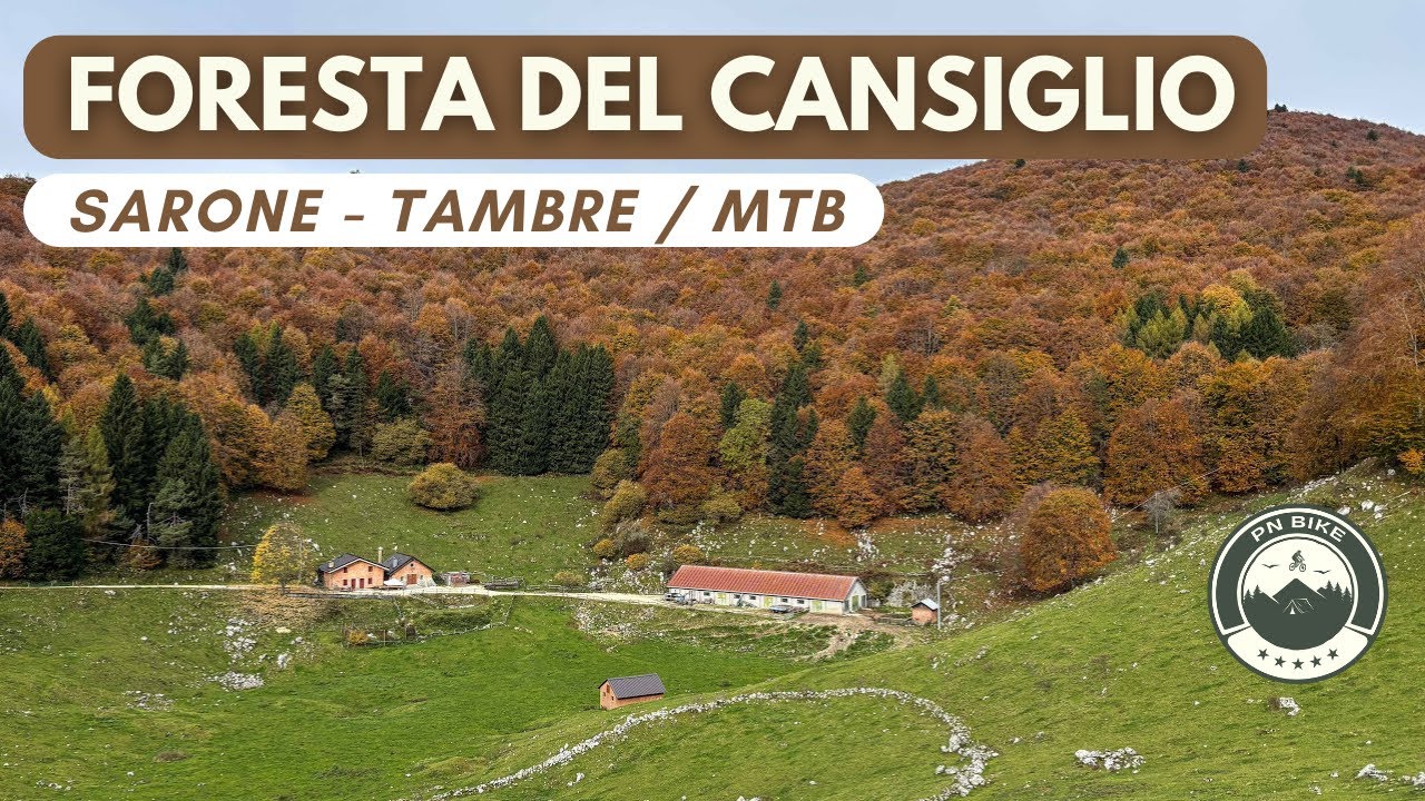 FORESTA DEL CANSIGLIO IN MTB