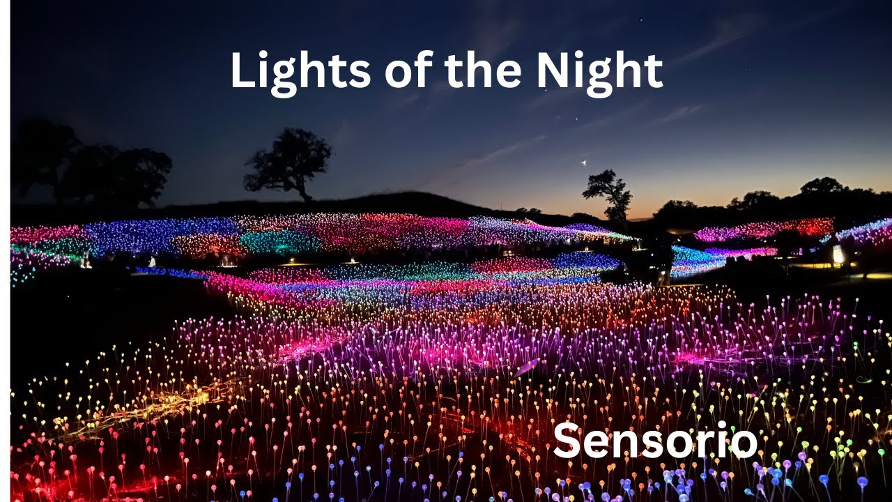 The Magical Field Of Lights In Paso Robles, Ca