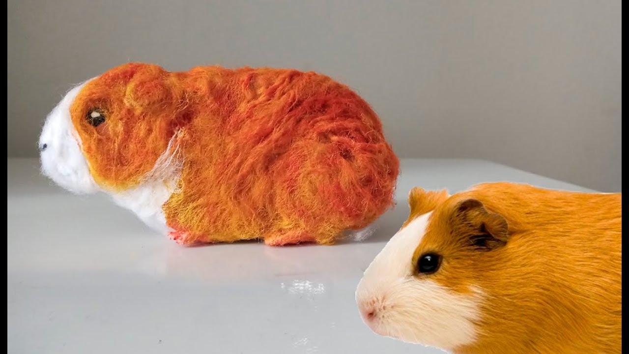 Como fazer Porquinho da Índia de papelão