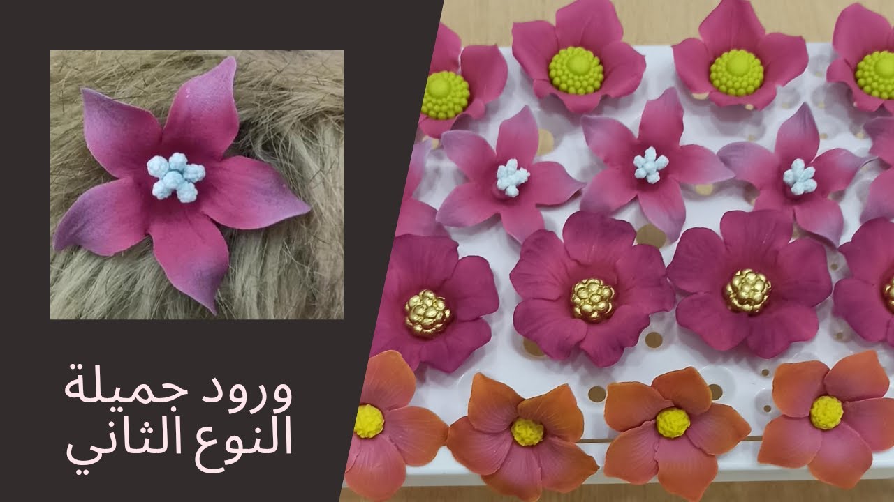 أربعة انواع من الورود رائعة بالوان جميلة  النوع الثاني