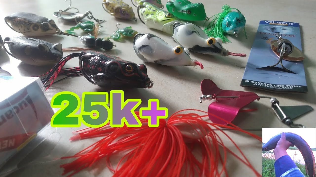 मेंढ़क से मरल मछली पकड़ने के साही तारिका उसकी टेक्नीक्स (Snakehead Fishing Tricks)9766505412.